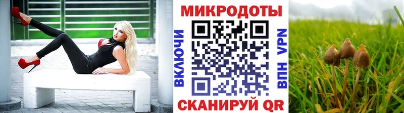 Галлюциногенные грибы мицелий блэк спрут сайт Ессентуки